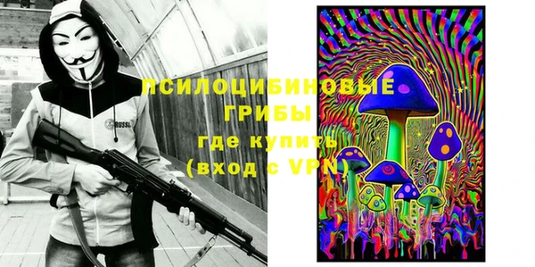 а пвп мука Алзамай