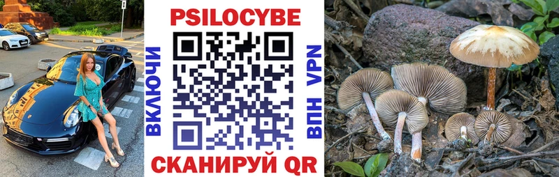 Псилоцибиновые грибы ЛСД  нарко площадка клад  Алупка 